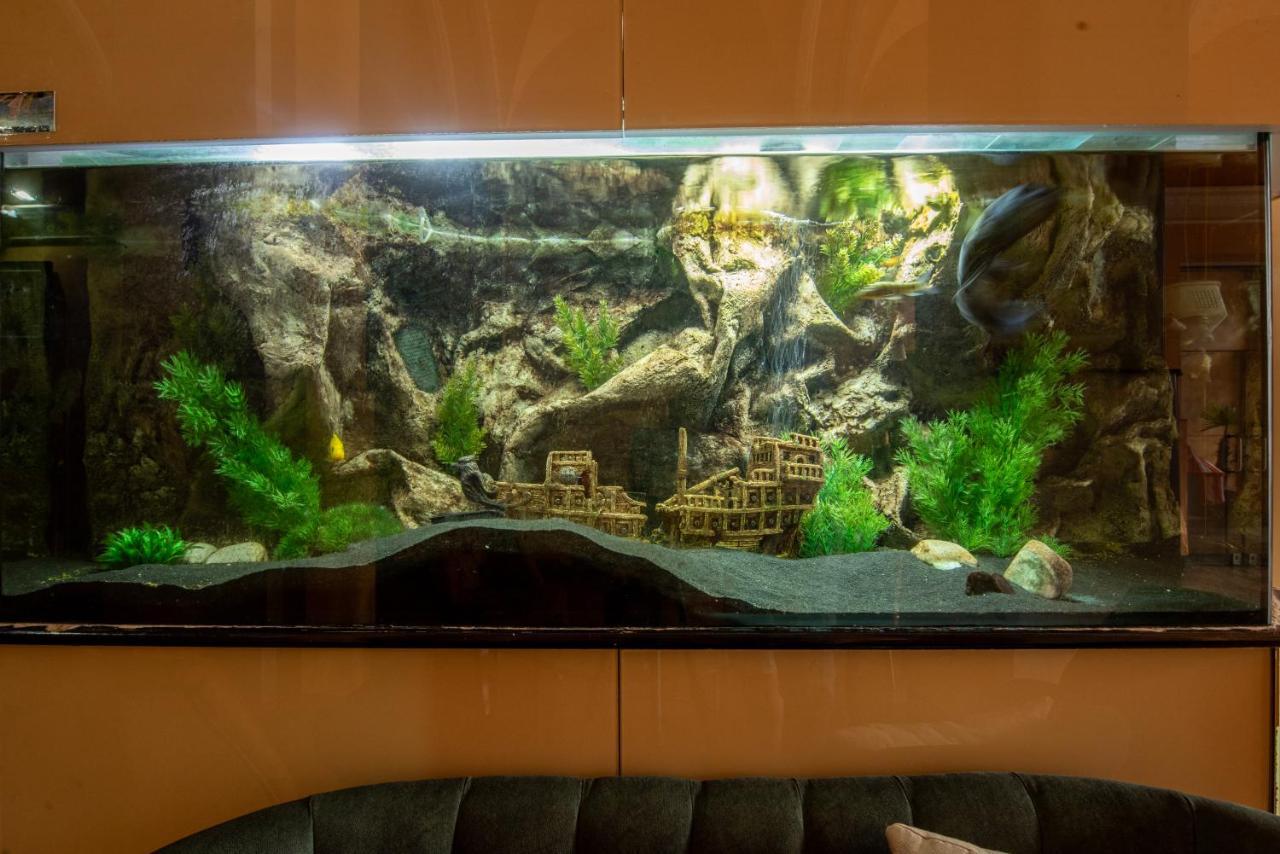 Korona Hotel Nyíregyháza Εξωτερικό φωτογραφία