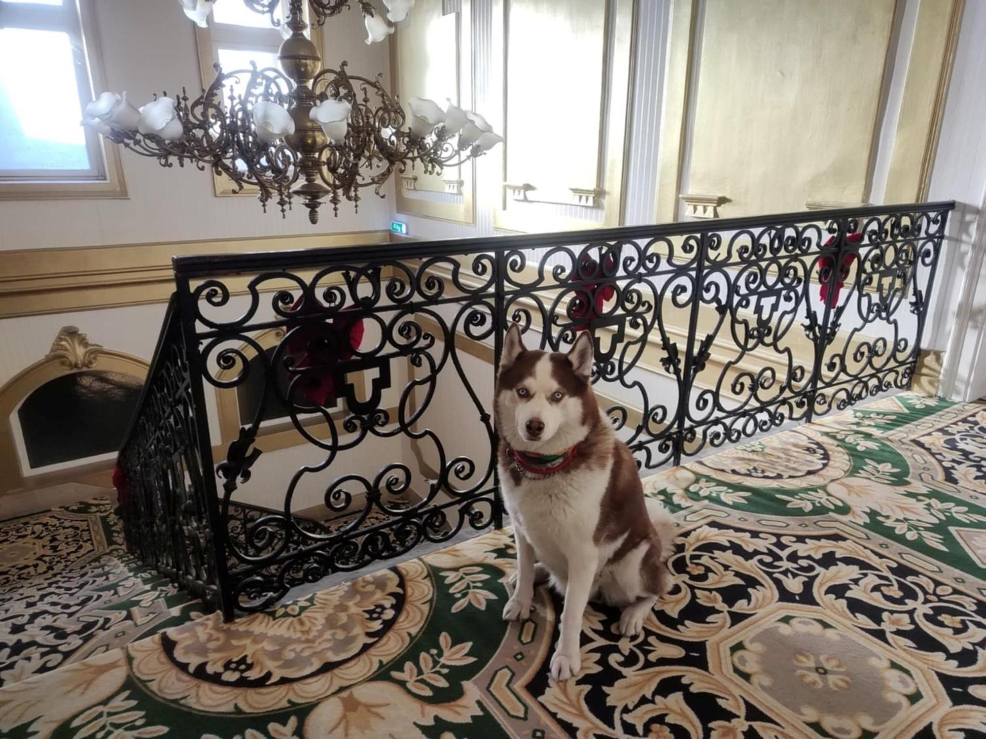 Korona Hotel Nyíregyháza Εξωτερικό φωτογραφία